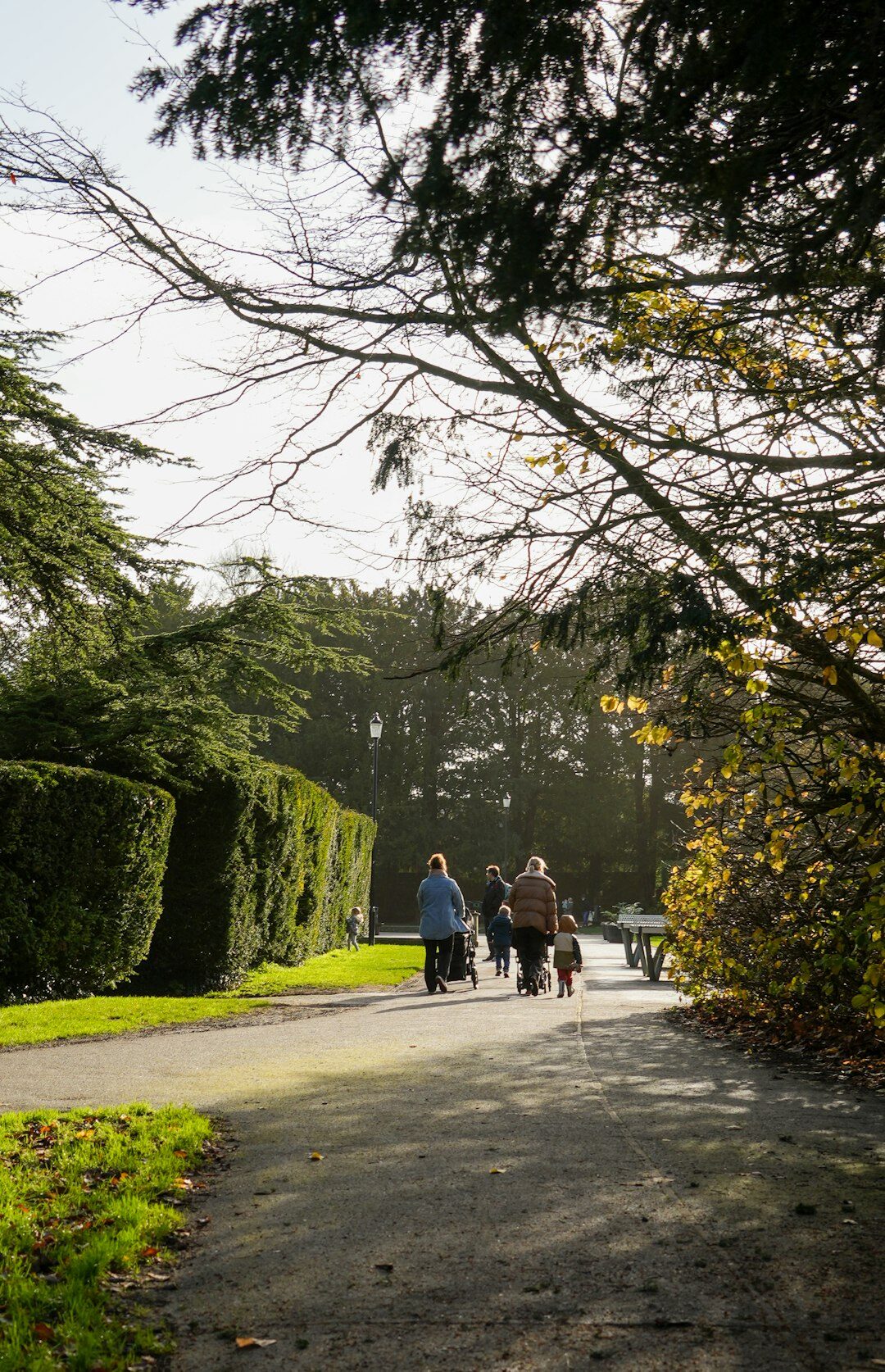Group of elderly friends walking together on a park path