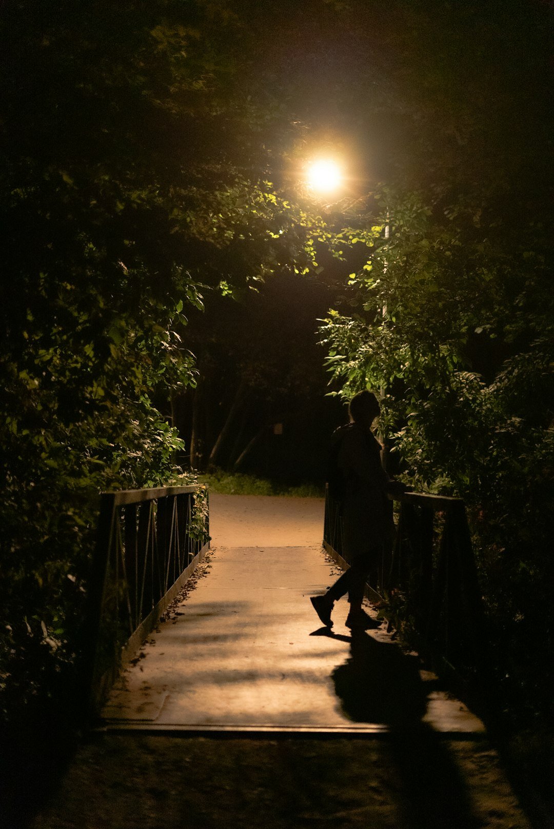 dark silhouette at night