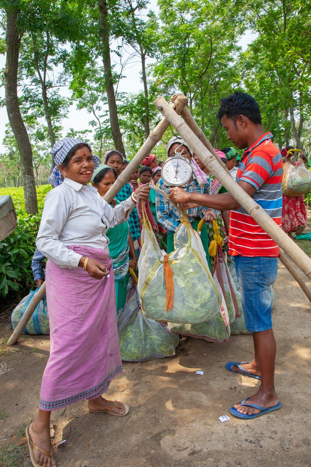 Elderly women tending to plants in a community garden